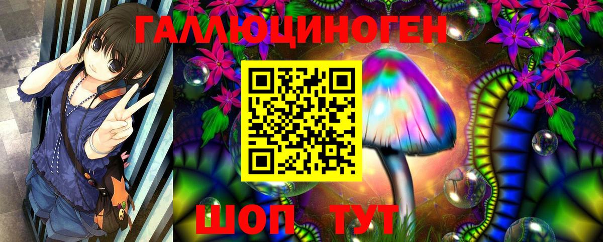 Орёл  Псилоцибиновые грибы прущие грибы  что такое   Вход с VPN 